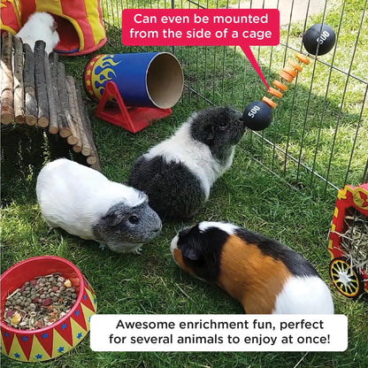 Haypigs Piggy Weightlifter Vegetable Kebab Maker