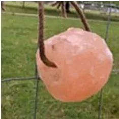Minrosa Cow Bolder Himalayan Salt Lick 19kg