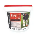 ProfeSTART Electrolyte Powder 2kg