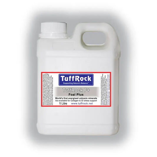 Tuffrock Foal Plus 1L