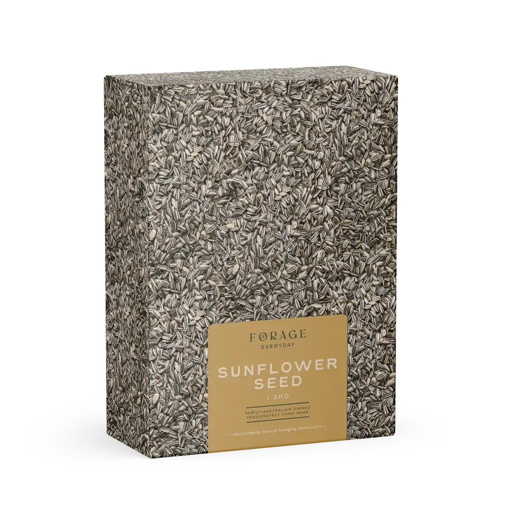 Forage Gourmet Seed Co Everyday Sunflower 1.3kg