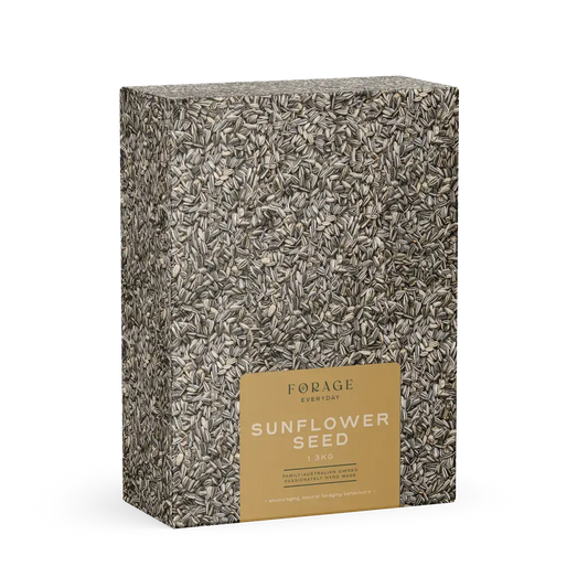Forage Gourmet Seed Co Everyday Sunflower 1.3kg
