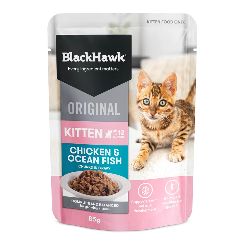 Black Hawk Kitten Chicken Ofish In Gravy 85G 12Pack