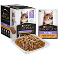 Pro Plan Kitten Chicken Pouch 85G 12Pack
