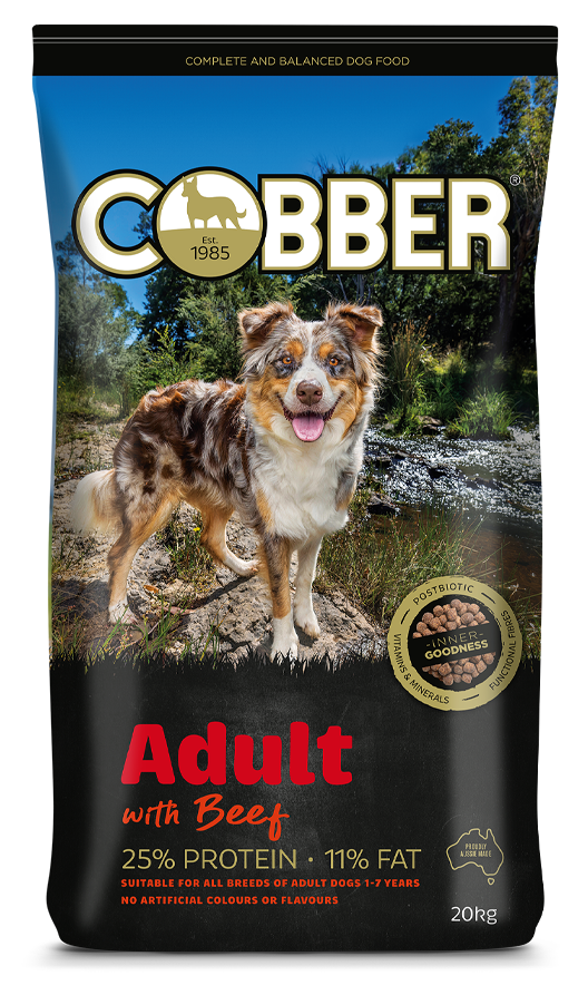 Cobber Adult With Beef 20Kg (36)