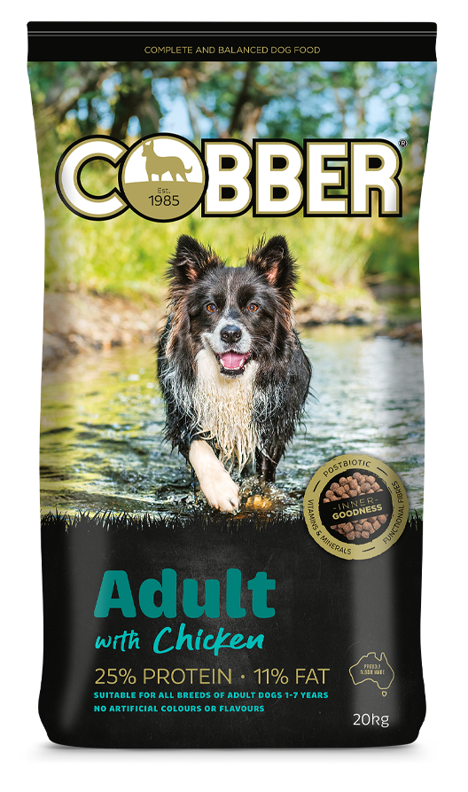 Cobber Adult With Chicken 20Kg (36)