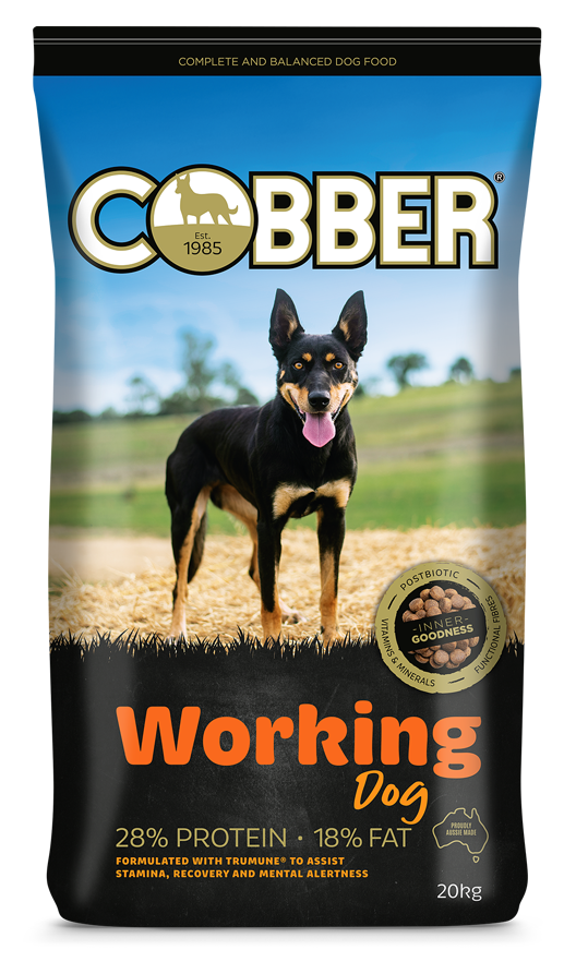 Cobber Workdog 20Kg (36)