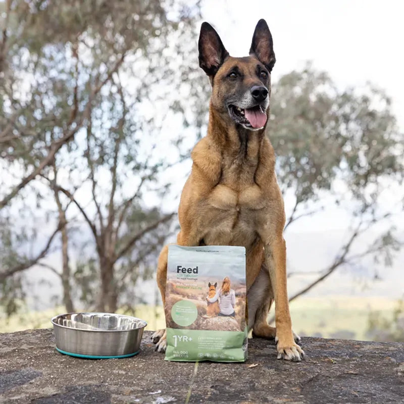 Feed For Thought All Breeds 1Yr+ 1Kg