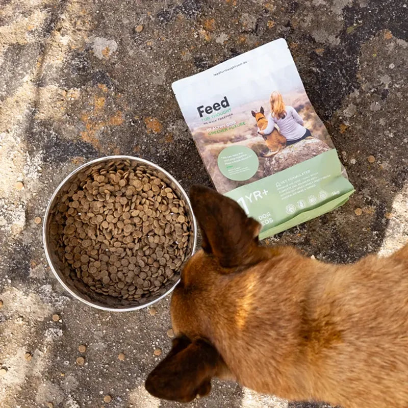 Feed For Thought All Breeds 1Yr+ 1Kg