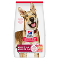 Hills Science Diet Adult Salmon and Brown Rice Dry Dog Food 14.9kg