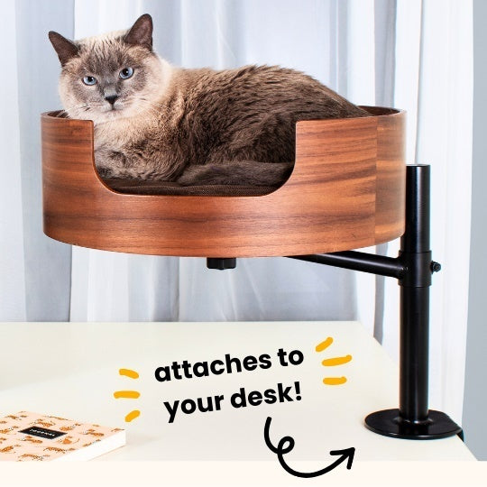Desk Nest Desk-Mounted Cat Bed Walnut