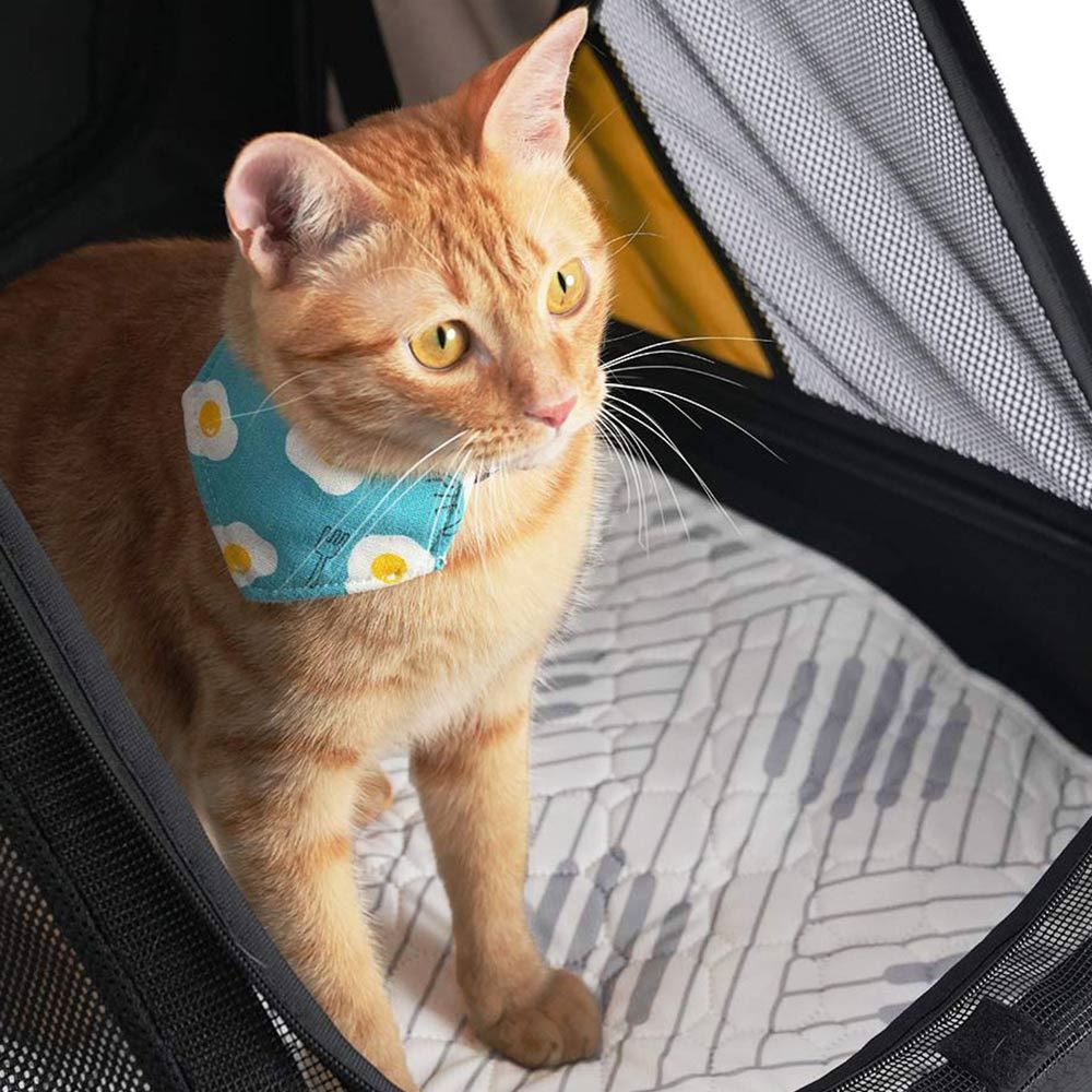 Ibiyaya EcoPaws Reusable Pet Underpad for Multiple including Strollers - Nordic Fusion