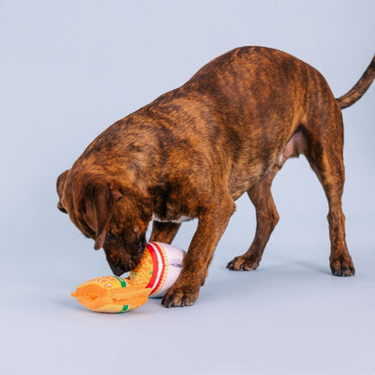 Fringe Studio Nothin But Noodles 2-piece Plush Dog Toys