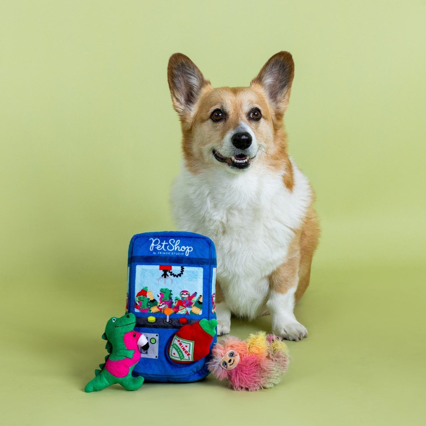 Fringe Studio Ready Set Claw Machine Hide & Seek Burrow Dog Toy