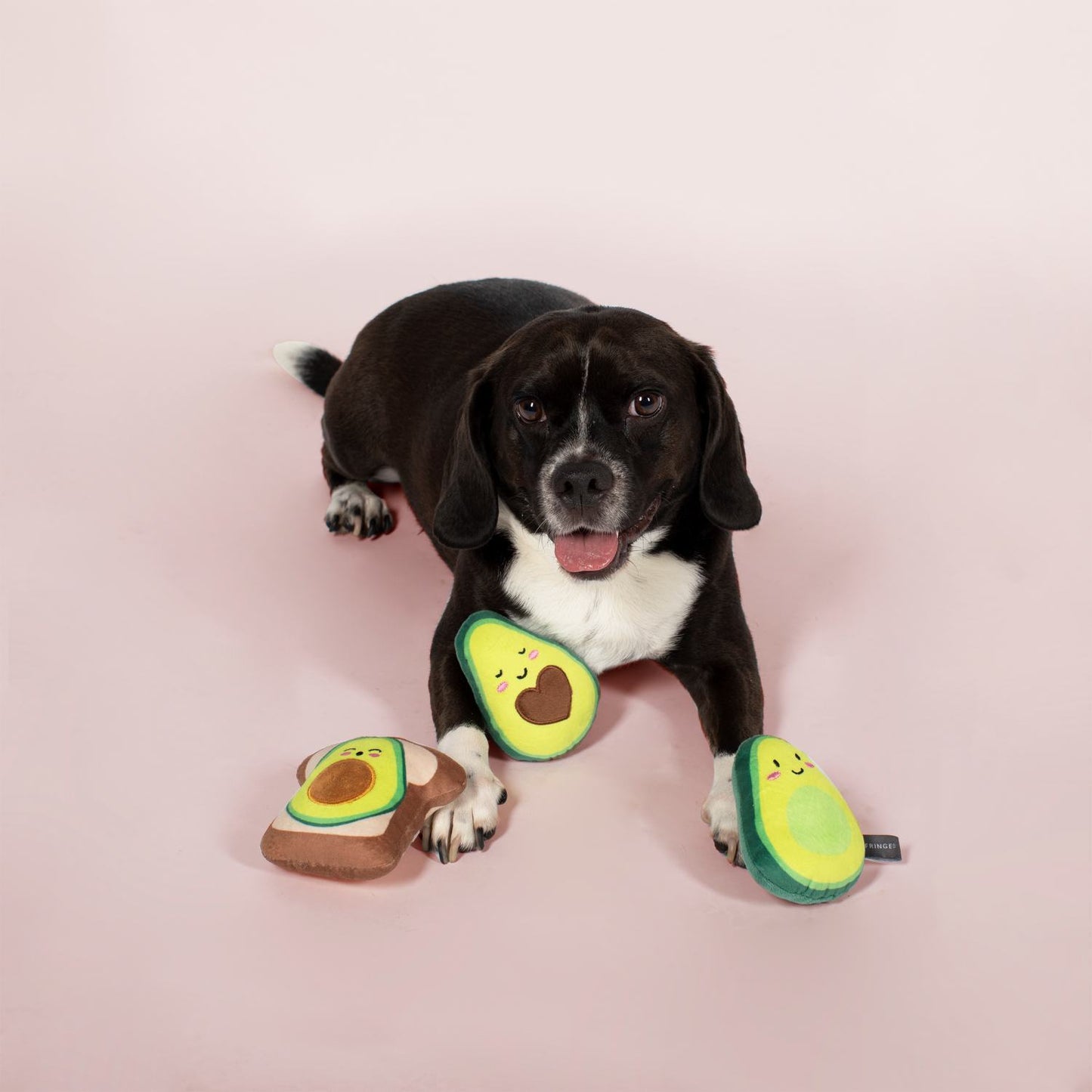 Fringe Studio Avocado on Toast 3-piece Small Dog Toys