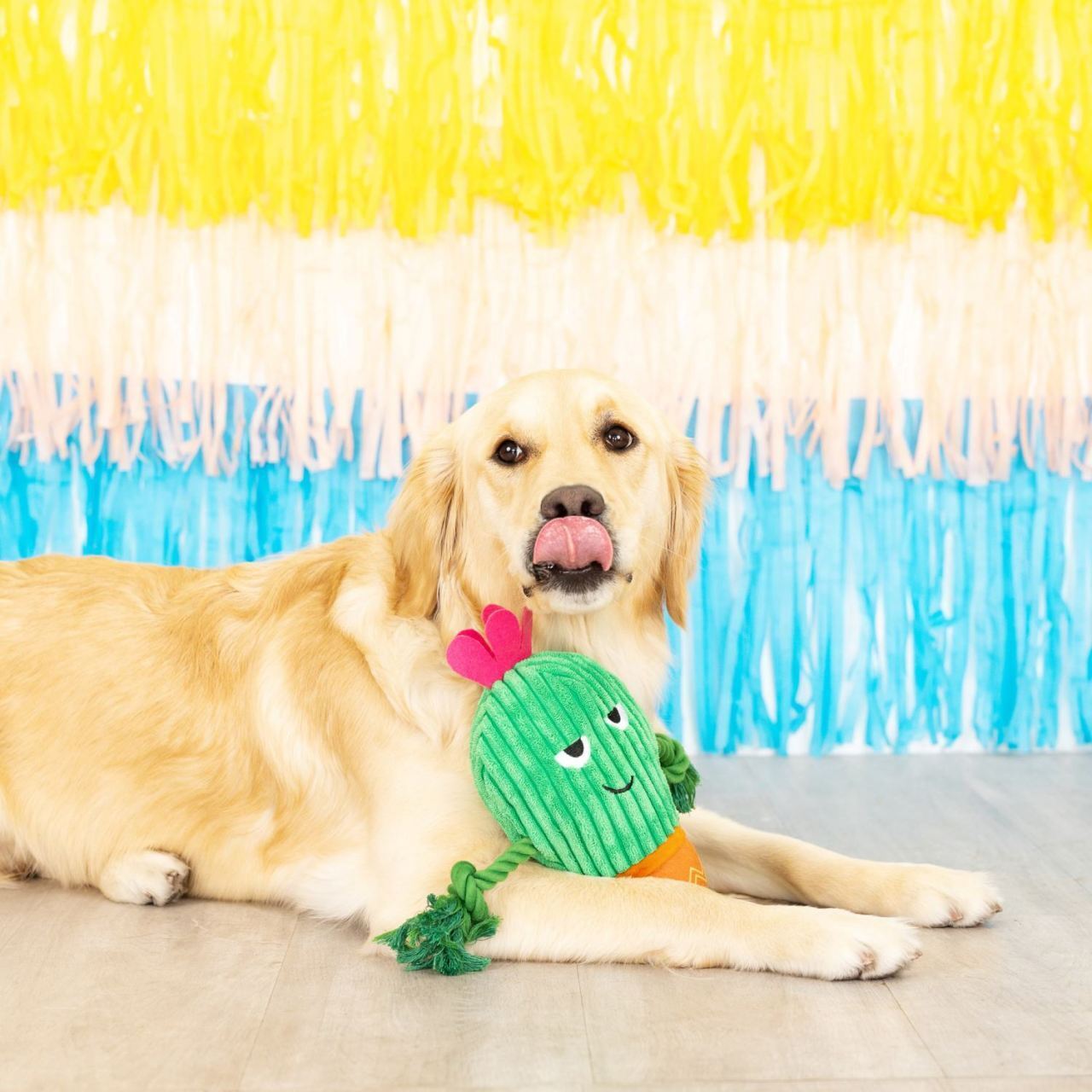 Fringe Studio You Grow Chica! Cactus Plush Dog Toy