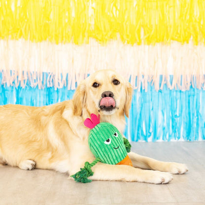 Fringe Studio You Grow Chica! Cactus Plush Dog Toy