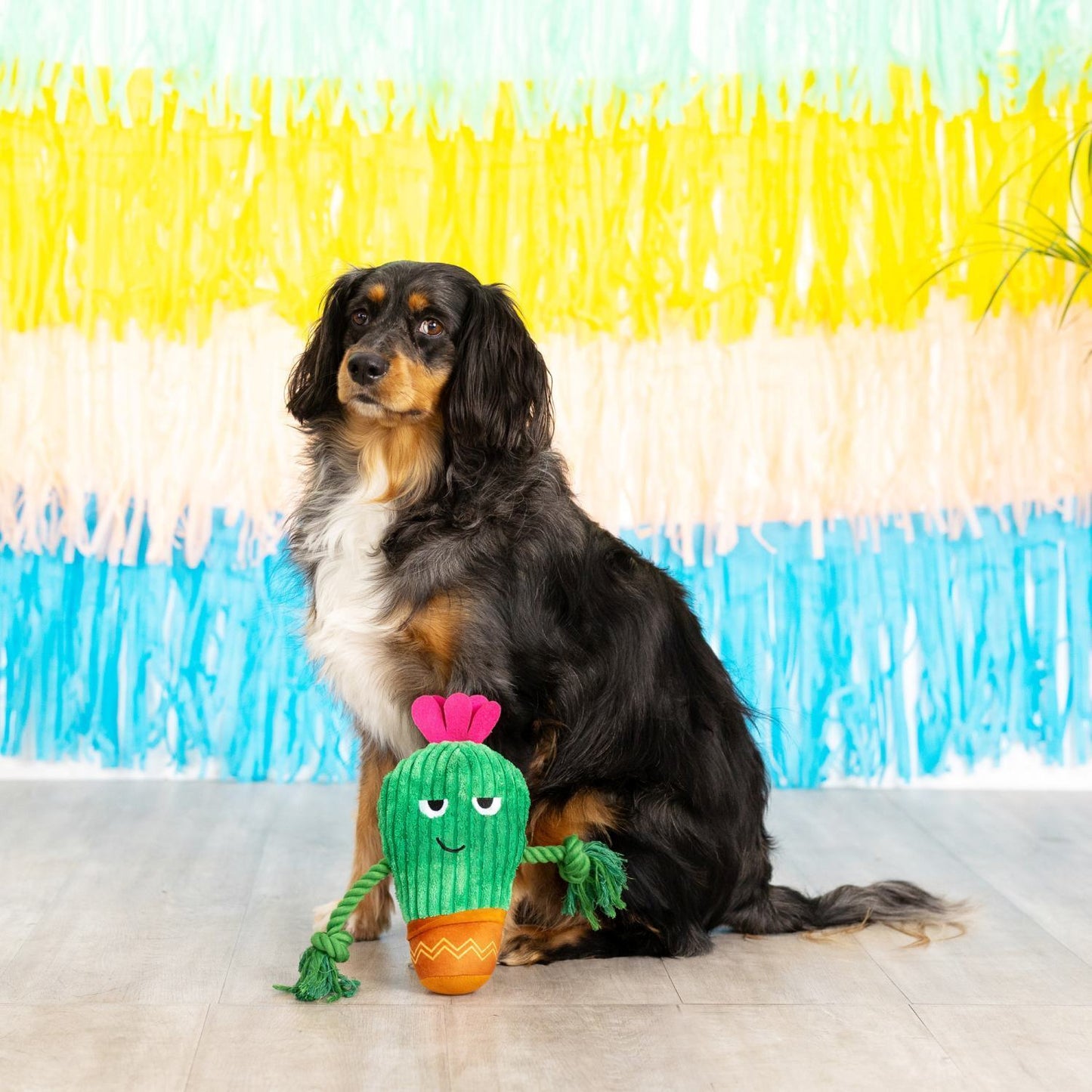 Fringe Studio You Grow Chica! Cactus Plush Dog Toy