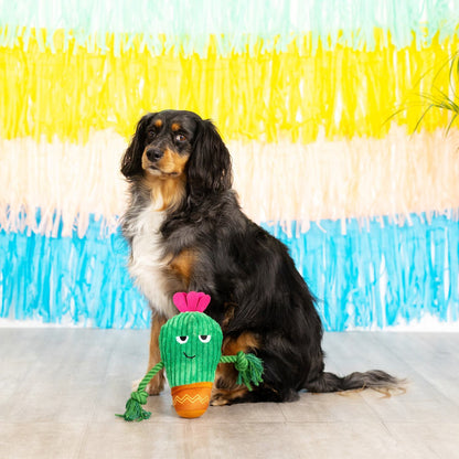 Fringe Studio You Grow Chica! Cactus Plush Dog Toy