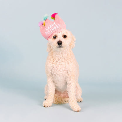 Fringe Studio If The Crown Fits Plush Dog Toy & Birthday Hat