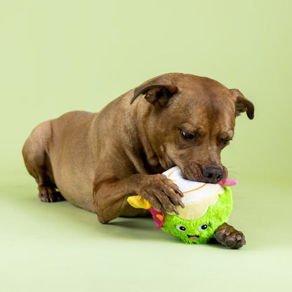 Fringe Studio Coc-nuts About You Plush Dog Toy