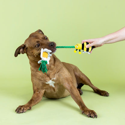 Fringe Studio Im Pollen For You Plush & Tug Rope Dog Toy