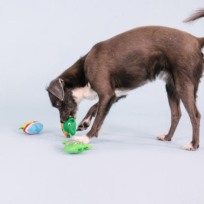 Fringe Studio Rawr-ing Summer Swimming Dinosaurs 3-piece Small Dog Toys