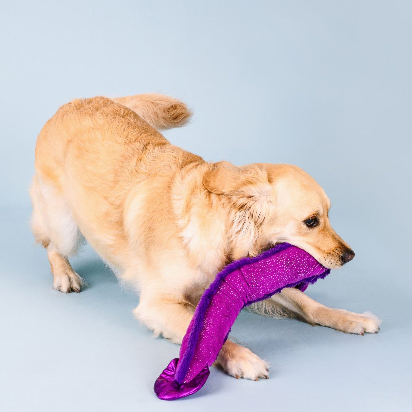 Fringe Studio Kind Of A Big Eel Tug Plush Dog Toy - Extra Large