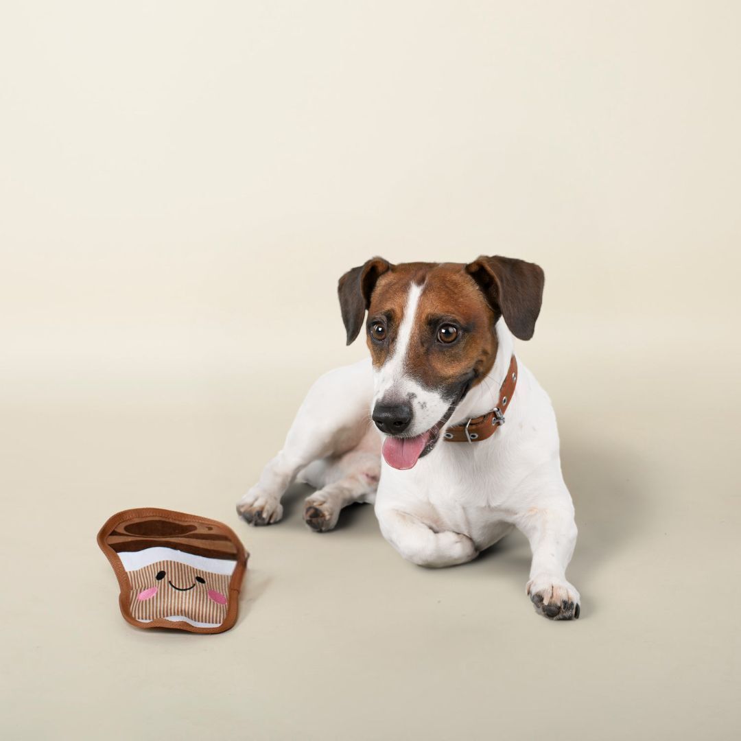 Fringe Studio Happy Coffee No Stuffing Plush Dog Toy