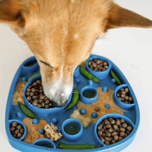 West Paw Feast Lick Mat Slow Feeder for Dogs - Bubbles Tropic Red