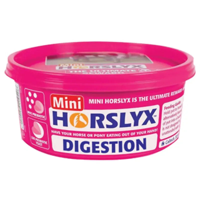 Horslyx Digestion Vit & Mineral Lick 650G