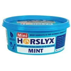 Horslyx Mint Mini Vit & Mineral Lick 650G