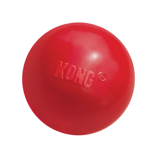 Kong Ball With Hole Lg