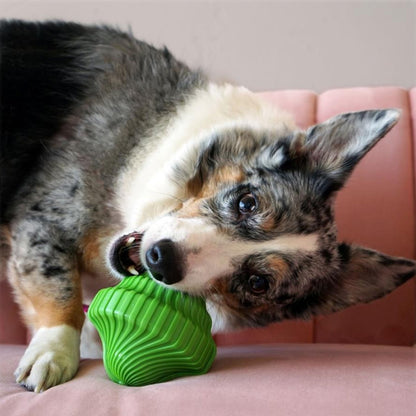 KONG Squeezz Orbitz Spin Top Squeaker Dog Toy - Pack of 3 Asst Colours - M/L