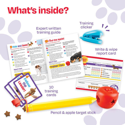 Brightkins Pooch School! Interactive Dog Training Set