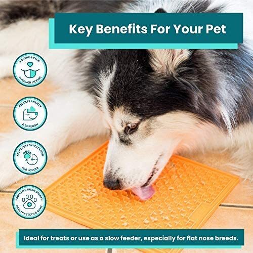 Lickimat Mini Buddy Slow Food Bowl Anti-Anxiety Mat for Dogs