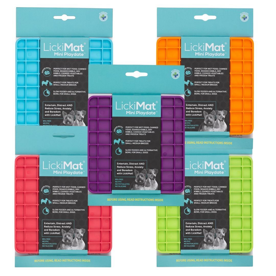 Lickimat Mini Playdate Slow Food Bowl Anti-Anxiety Mat for Dogs