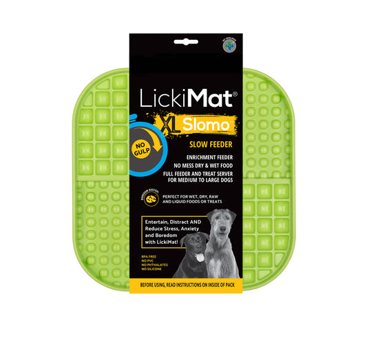 LickiMat Slomo Wet & Dry Double Slow Food Dog Bowl - X-Large Green