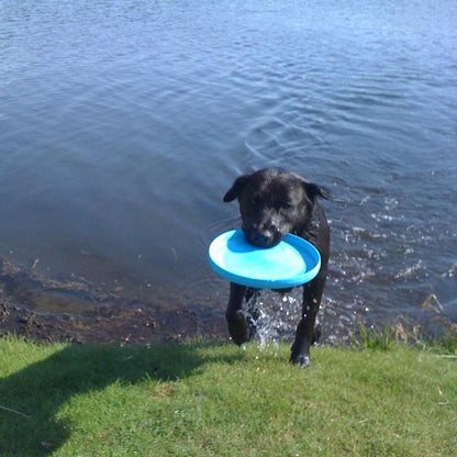 West Paw Zisc Flying Disc Fetch Dog Toy - Large - Blue 