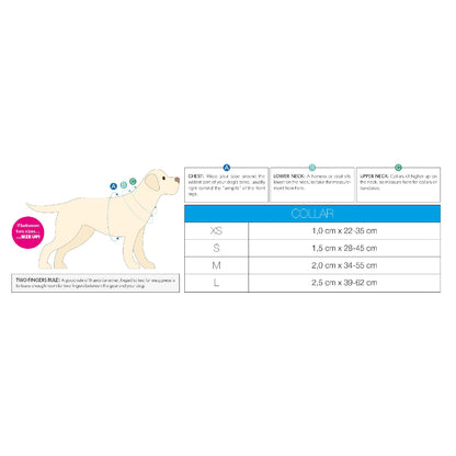 Max & Molly Smart ID Dog Collar - Ducklings