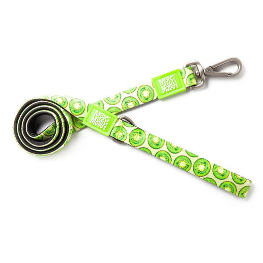 Max & Molly Dog Leash - Kiwi - Small
