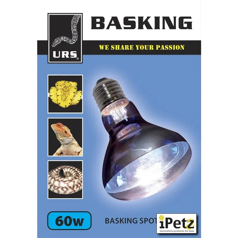 Urs Basking Spot Globe 60W