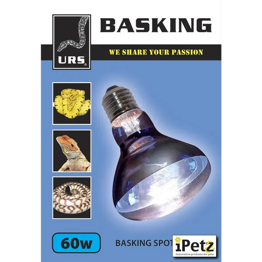 Urs Basking Spot Globe 60W