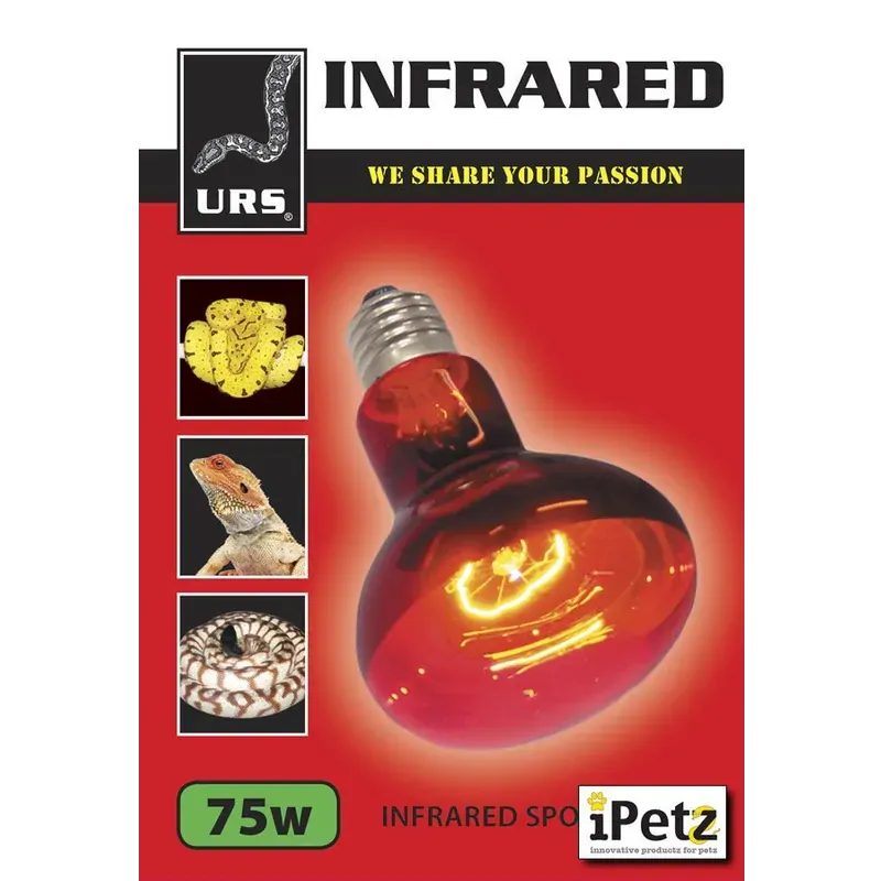 Urs Infrared Spot Lamp 60W