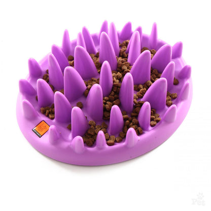 Northmate Catch Slow Feeder For Cats