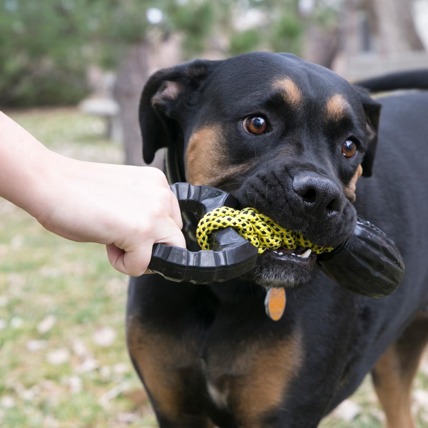 KONG Jaxx Braided Tug Large 