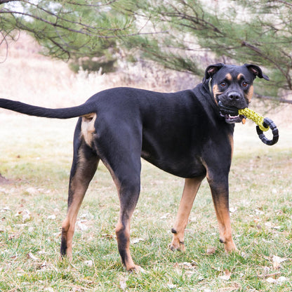 KONG Jaxx Braided Tug Large 