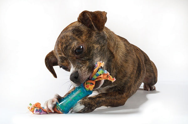 Petstages Mini Dental Chew Pack