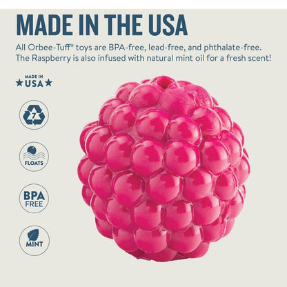 Planet Dog Orbee-Tuff Treat Dispensing Dog Toy - Raspberry
