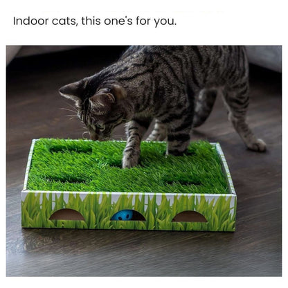 Petstages Grass Patch Hunting Box Interactive Cat Toy